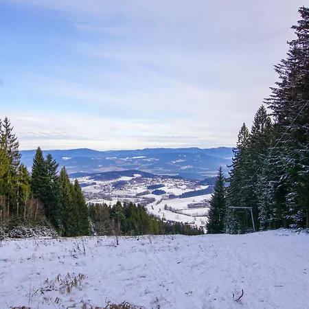 Charmante Mit Sauna Und Schwimmbad Im Zauberhaften Bayerischen Wald Apartment Sankt Englmar