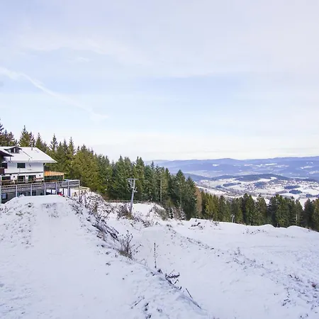 Charmante Mit Sauna Und Schwimmbad Im Zauberhaften Bayerischen Wald Apartment