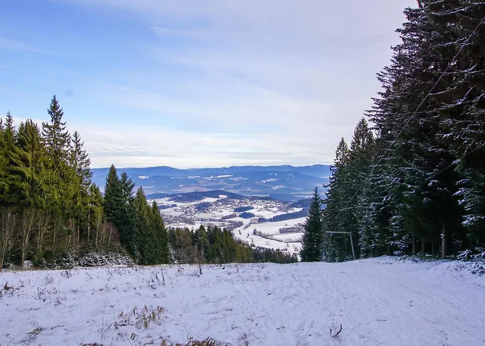 Charmante Mit Sauna Und Schwimmbad Im Zauberhaften Bayerischen Wald Apartmán Sankt Englmar