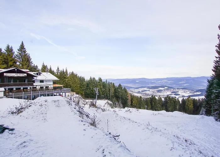 Charmante Mit Sauna Und Schwimmbad Im Zauberhaften Bayerischen Wald Lejlighed